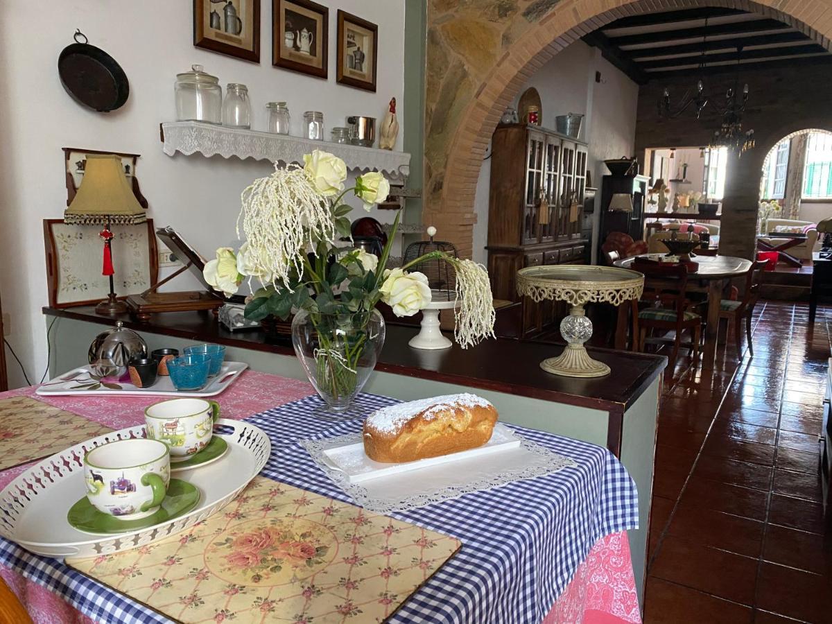 Loft Rural Apartment Tegueste Екстериор снимка