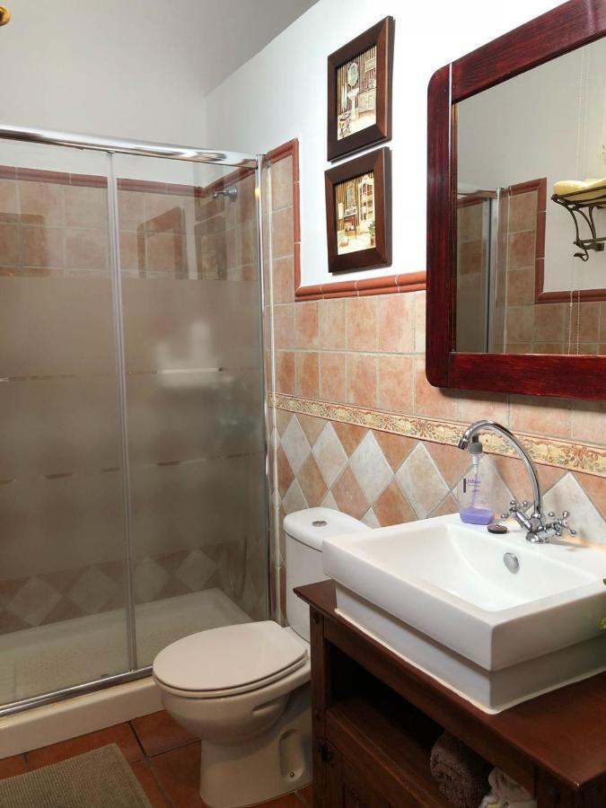 Loft Rural Apartment Tegueste Екстериор снимка